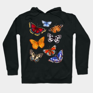 Butterflies on warm terracotta Hoodie